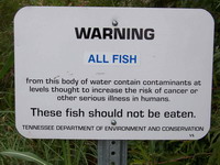 Sign warns not to eat the fish.